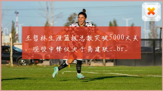 王哲林生涯篮板总数突破5000大关，现役中锋仅次于易建联__br_